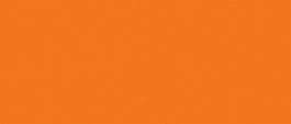 Day-glo fluo oranje 100 g/m² 650 x 915 mm BL