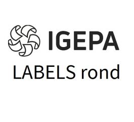 Igepa labels wit 38 x 99 mm ronde hoeken (vel 297x210) 14eti/100