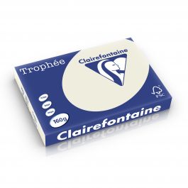 Clairefontaine Trophee pastel 160 g/m² parelgrijs 1065 297 x 420 mm BL