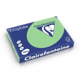 Clairefontaine Trophee pastel 160 g/m² natuurgroen 1119 297 x 420 mm BL