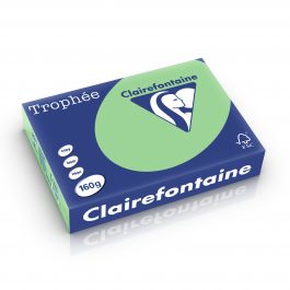 Clairefontaine Trophee pastel 160 g/m² natuurgroen 1120 210 x 297 mm LL