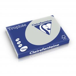 Clairefontaine Trophee pastel 120 g/m² lichtgrijs 1274 297 x 420 mm BL