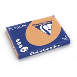 Clairefontaine Trophee pastel 120 g/m² mokkabruin 1304 297 x 420 mm BL