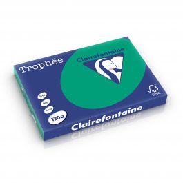 Clairefontaine Trophee intensief 120 g/m² dennengroen 1384 297 x 420 mm BL