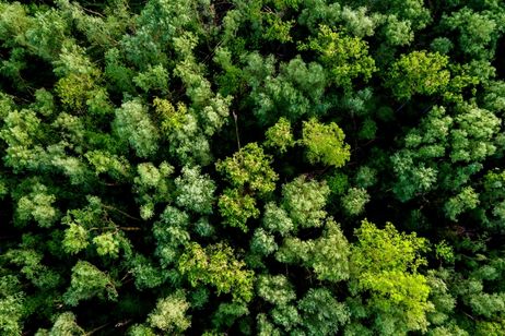 luchtkussenfolie, luchtkussenfolie op rol, noppenfolie, bubbelfolie