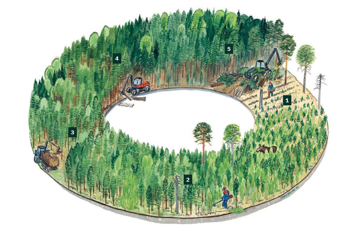 Kwekerij The Navigator Company